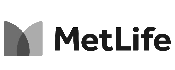 Seguro Metlife