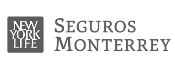 Seguro Monterrey